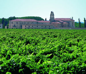 西班牙古力城堡陈酿干红葡萄酒